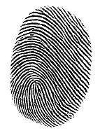 identity_verification2